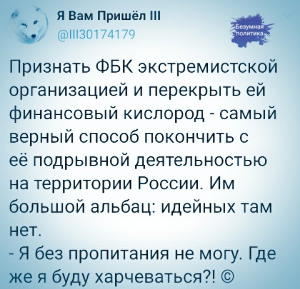 Волков объявил о роспуске сети штабов Навального
