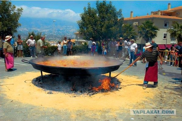 Священники с автомобилями за миллион гривен