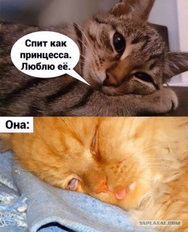 Картинки и фразы 9-го июня... тридцать штук