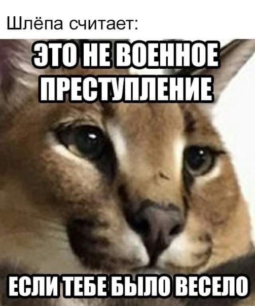 Была ли бомбардировка Хиросимы и Нагасаки военным преступлением?