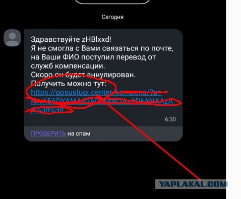 Предупредите своих: мошенники активизировались на фоне грядущей выплаты в 10000 пенсионерам