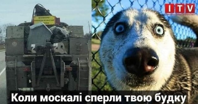 Женской дружбы не существует
