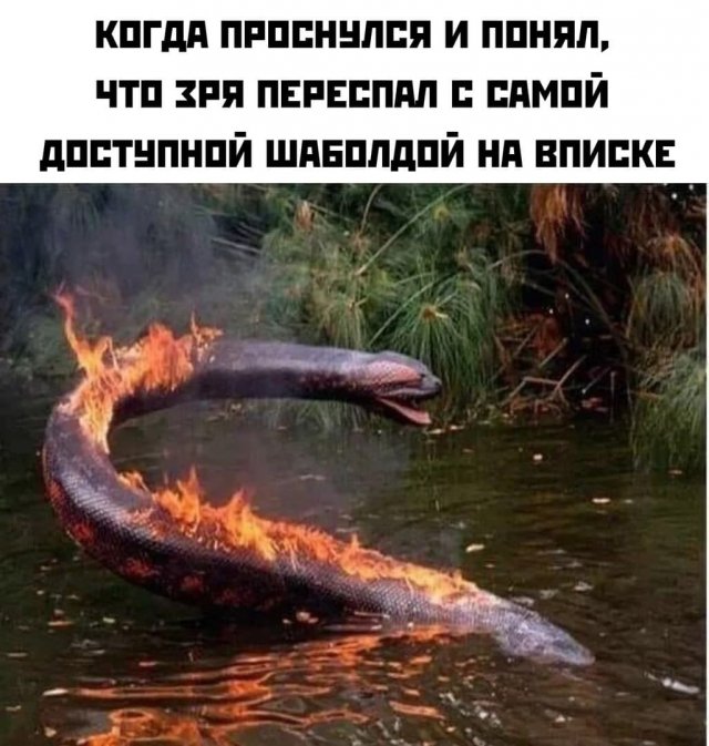 Субботняя чернуха!