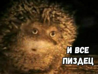 Сегодня на станции «Ростокино» в Москве зацепера ударило током