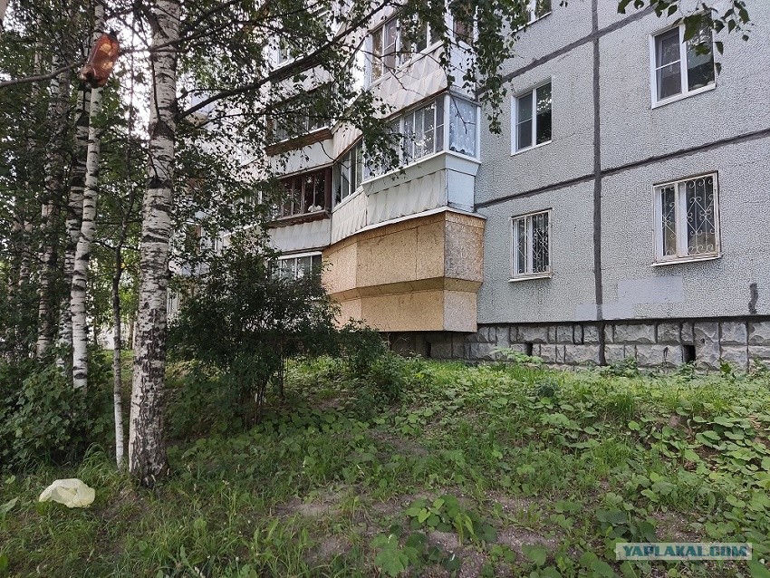 петрозаводская 56 сыктывкар. петрозаводская 56 чита. пятерочка петрозаводск ключевая улица. кафе вкус китая чита петрозаводская. петрозаводская 19 сыктывкар.