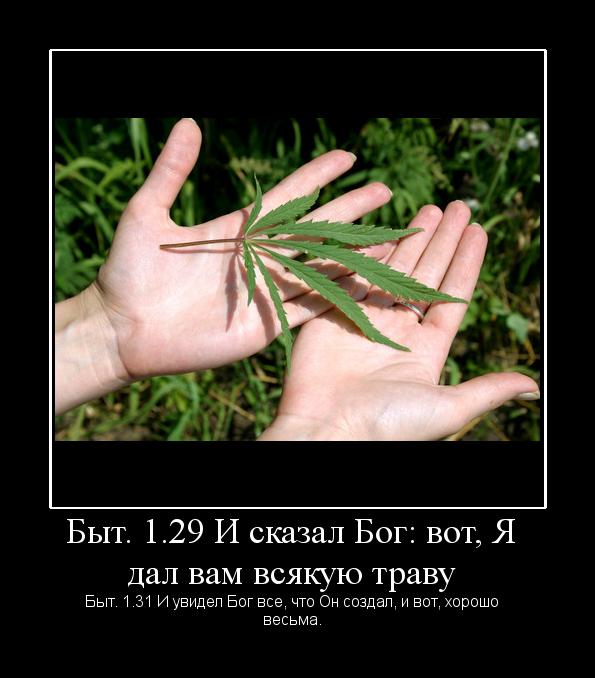 Прикольные и просто красивые картинки 25.10.2022