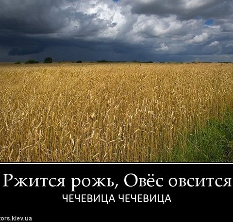 Перлы - 24.12.22