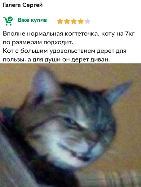 Вот как нужно котику стричь когти