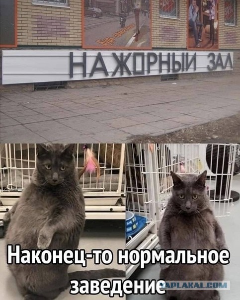 Всего понемногу. От 21.04.
