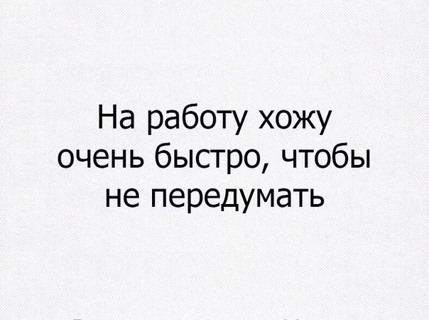 Весёлый полтишок 08.09.23