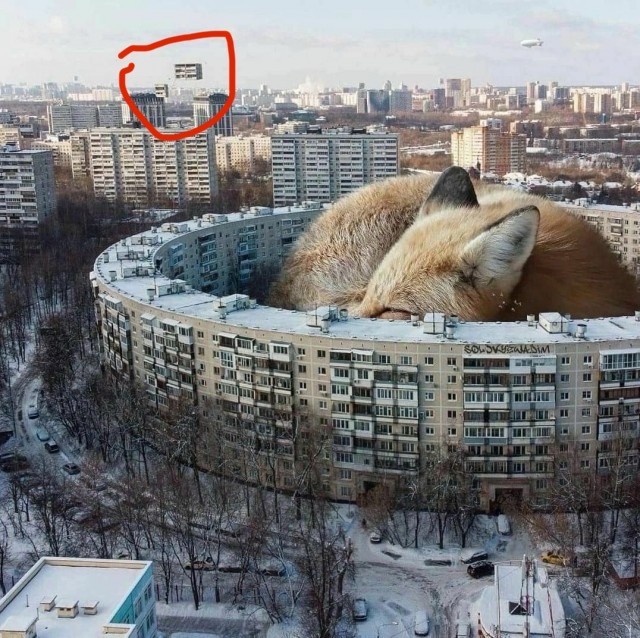 Так себе картинки 16.01.24