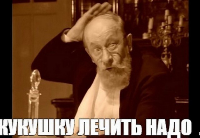 Проводница разлучила хозяина с котом