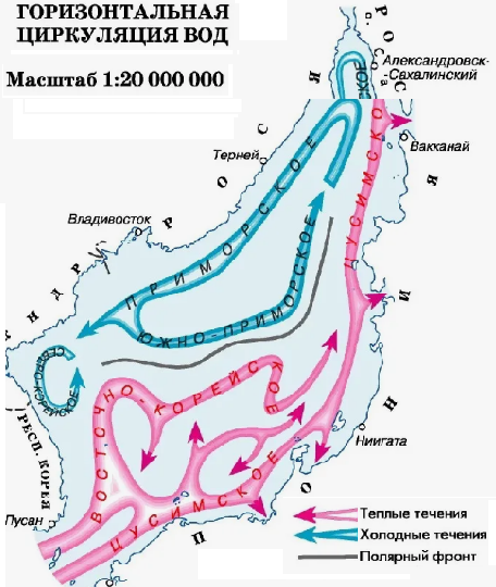 Откуда к берегам Японии приплывают лодки, полные мертвецов