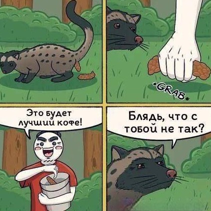 Немного обо всём