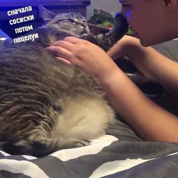 Так себе картинки 16.01.25