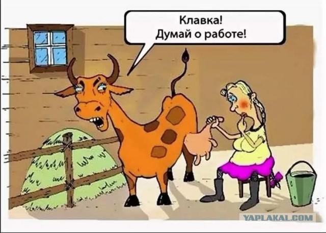 Картинки не для всех