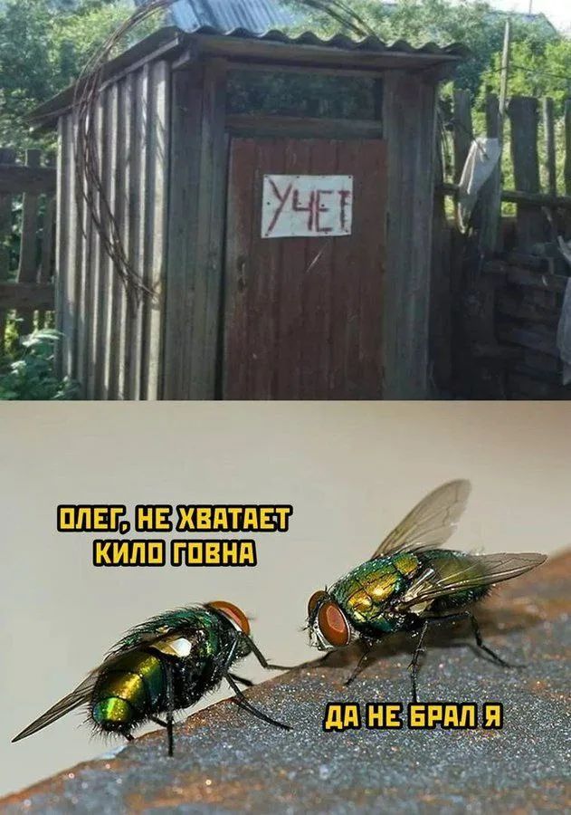 Как то сел по**ать