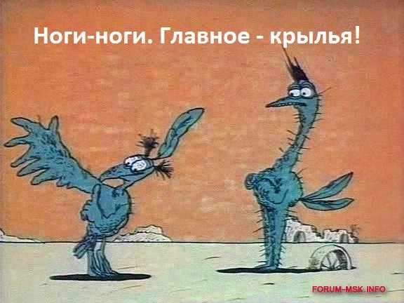 Руки