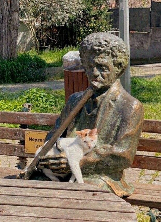 Прикольные и просто красивые картинки 10.06.2025
