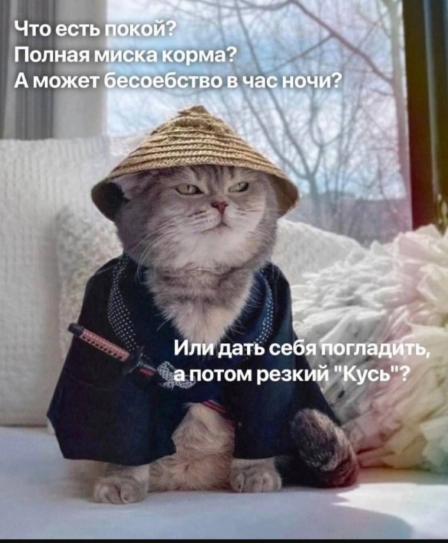20166139.jpg