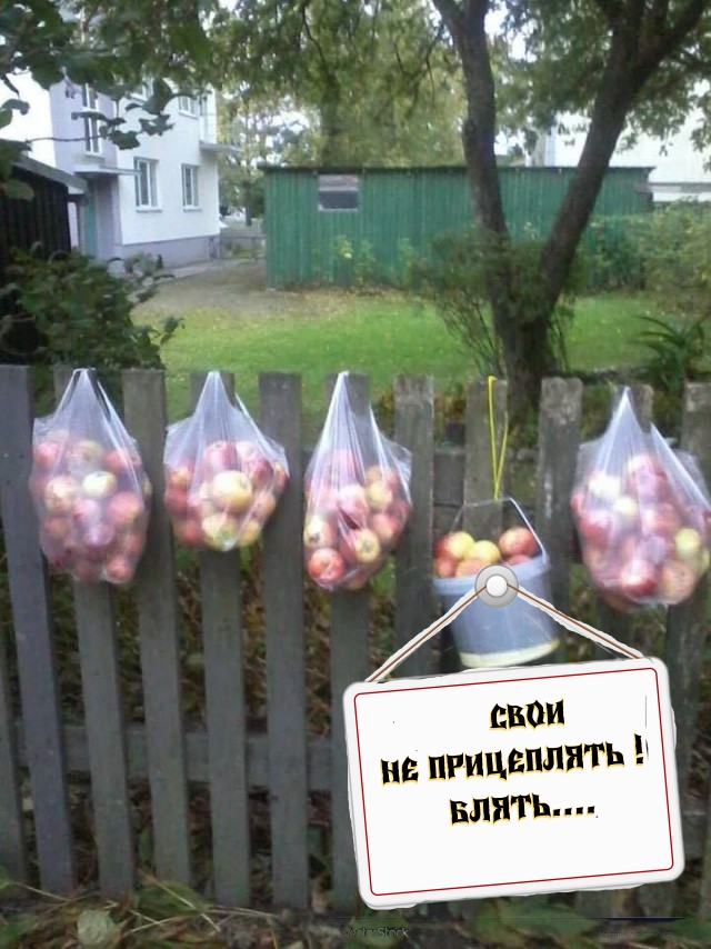 Как я в первый и последний раз попробовал что то продать со своего участка