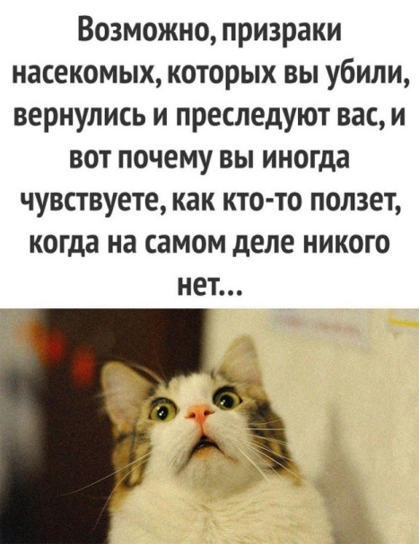 Не ленитесь!