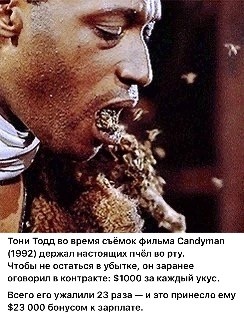 Интересные фотографии 1990 -х 12.10.25