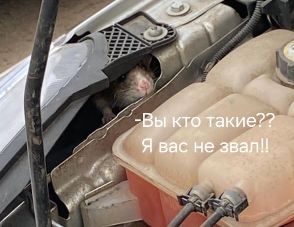 О, спасибо что подвезли, я выхожу