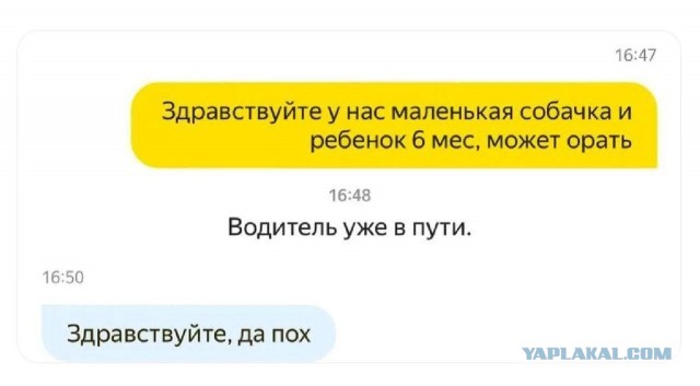 Когда сразу пять звёзд.