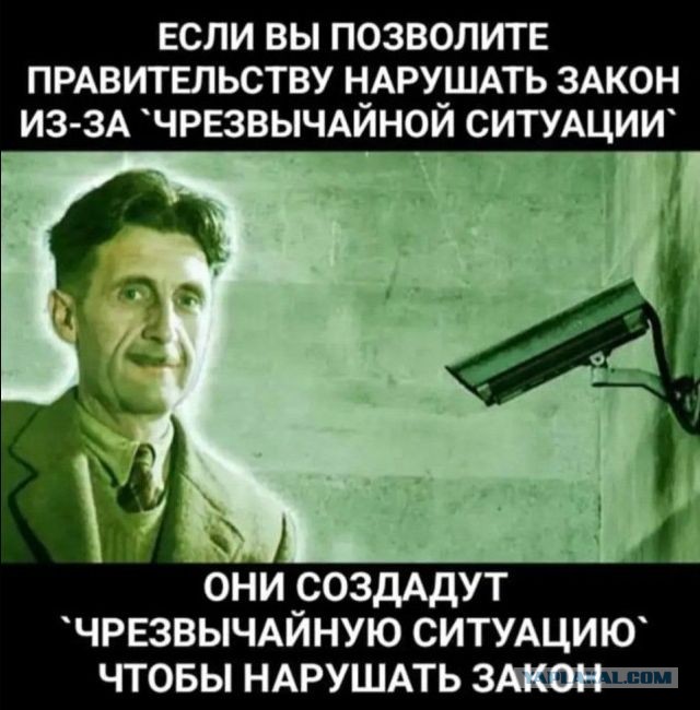В Новосибирске задержали журналиста, который освещал массовое уничтожение рогатого скота