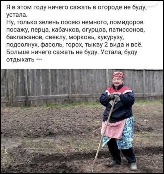 Субботние картинки