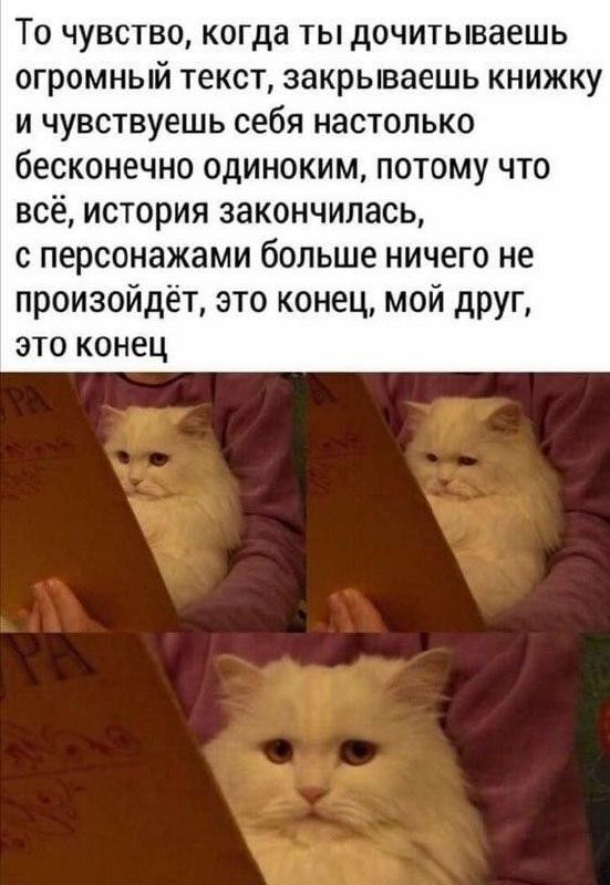 Картинки для деградации 258 ( разной степени свежести)