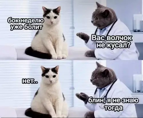 Картинки на среду