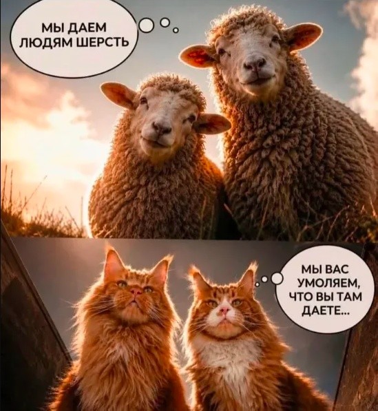 Картинки для деградации 307 (разной степени свежести)