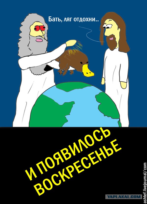 Забавный утконос
