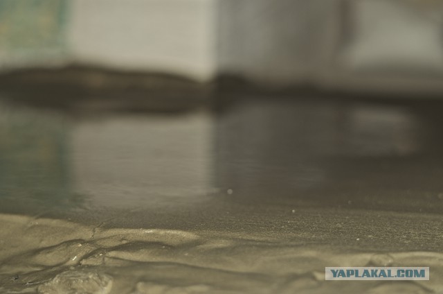 Сменить пол? Не вопрос!