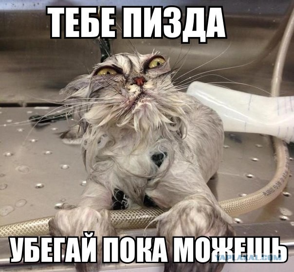 Не про олимпиаду