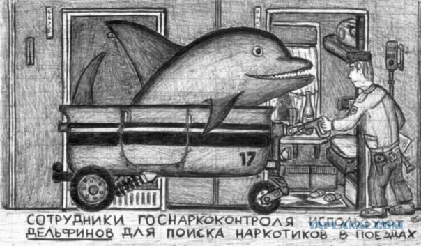 Жидкое мыло стекает на рыло