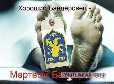 Крым - это только начало!