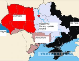 Житомирская область хочет стать польской