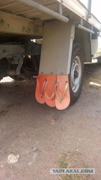 А котик удачно пристроился!