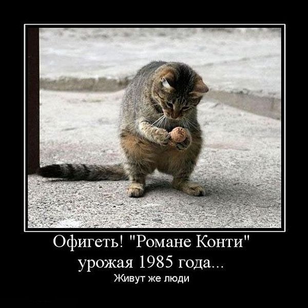 Комментарии из социальных сетей