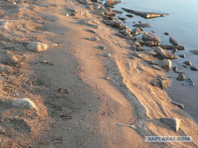 Серебрянское водохранилище.