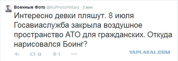 На Украине рухнул Боинг-777 малайзийских авиалиний