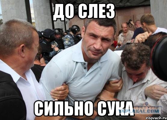 до слёз кличко картинка онлайн до слёз кличко картинка