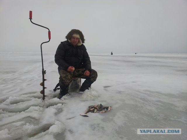 Рыбалка в Сиамском заливе.