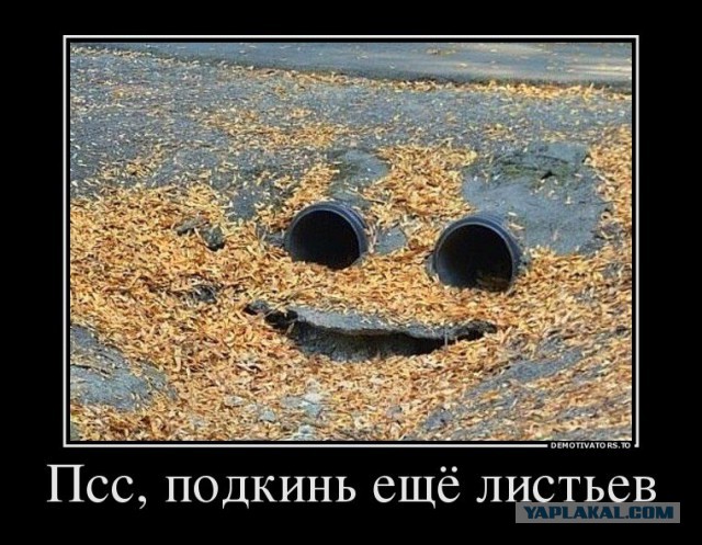 Упоротость вокруг нас
