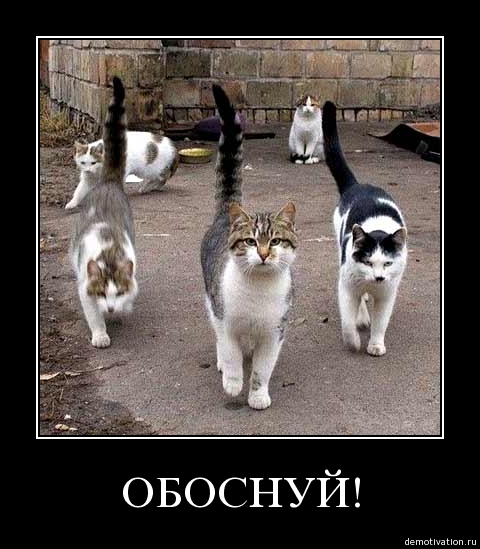 Злые киски