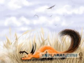 Депутаты тогда  и сейчас