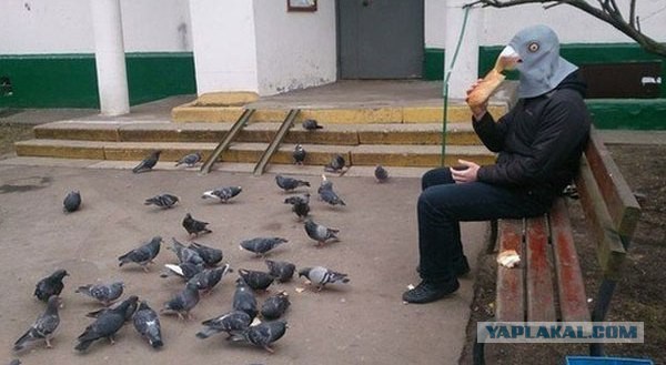 Мешанина прикольных картинок из сети